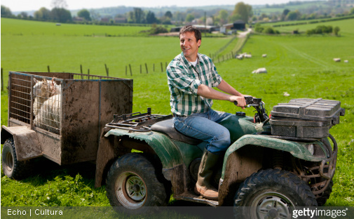 Que ce soit pour  une remorque agricole ou une remorque de tourisme, fiez-vous aux spécificités communiquées par le constructeur.